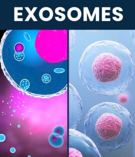 EXOSOMES:- THE FUTURE OF ANTI-AGING AND YOUTH SKIN